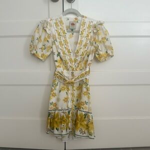 Gorgeous like new Farm Rio dress